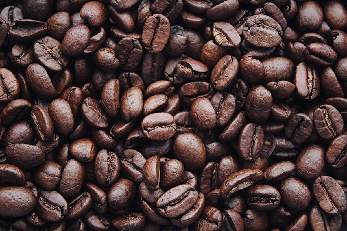 Premium Malnad coffee beans