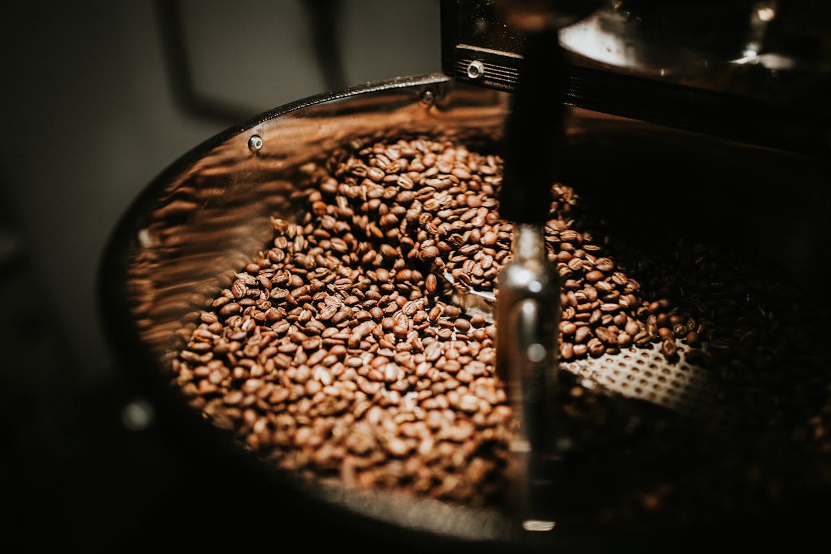 Freshly roasted Malnad coffee ready for grinding